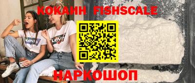 jwh Кингисепп