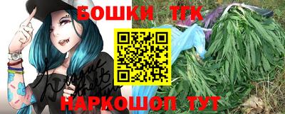 jwh Кингисепп