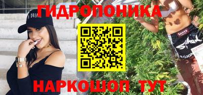 jwh Кингисепп