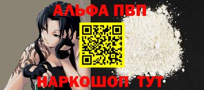 jwh Кингисепп