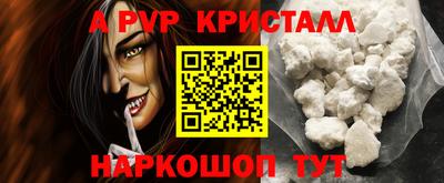 jwh Кингисепп