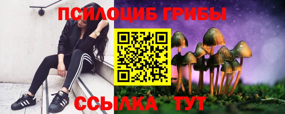 сколько стоит  Галлюциногенные грибы прущие грибы  Вход с VPN  Крымск 