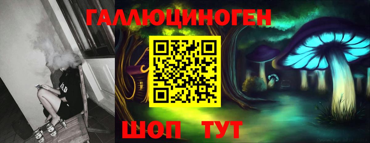 Псилоцибиновые грибы Psilocybine cubensis Крымск